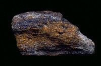 藏品(不明碎骨一塊)的圖片